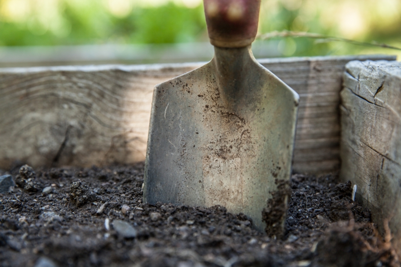 jardinerie-TRANS EN PROVENCE-min_garden-1176406