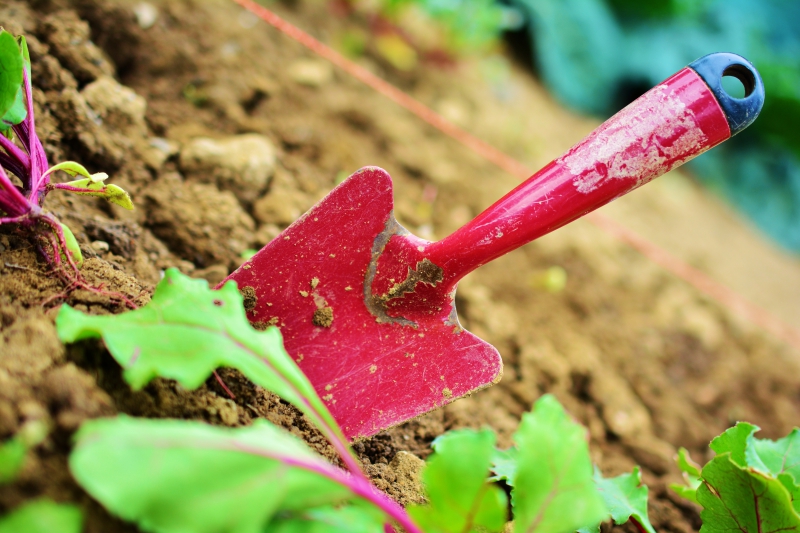 jardinerie-TRANS EN PROVENCE-min_gardening-2448134